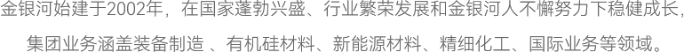 金银河始建于2002年，在国家蓬勃兴盛、行业繁荣发展和金银河人不懈努力下稳健成长，
集团业务涵盖装备制造 、有机硅材料、新能源材料、精细化工、国际业务等领域。